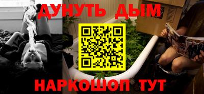 крисы Новокубанск