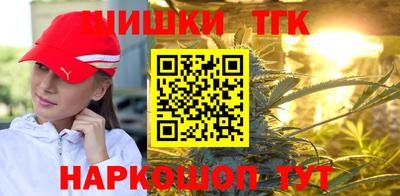 крисы Новокубанск