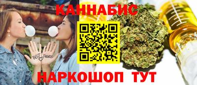 крисы Новокубанск