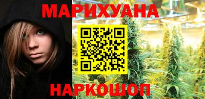 крисы Новокубанск