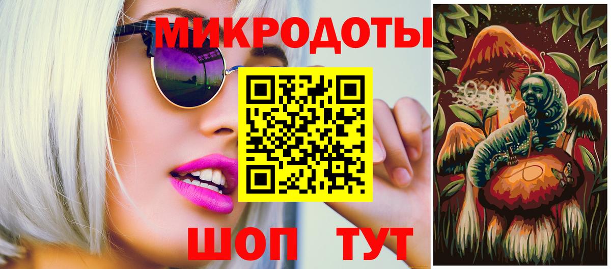 Саянск  Псилоцибиновые грибы Psilocybe  Вход с VPN 